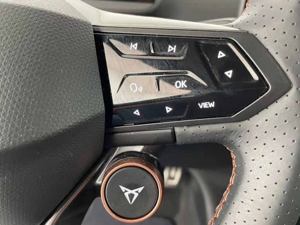 Cupra Tavascan