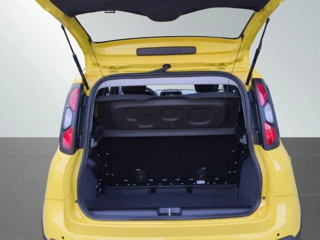 Fiat Pandina