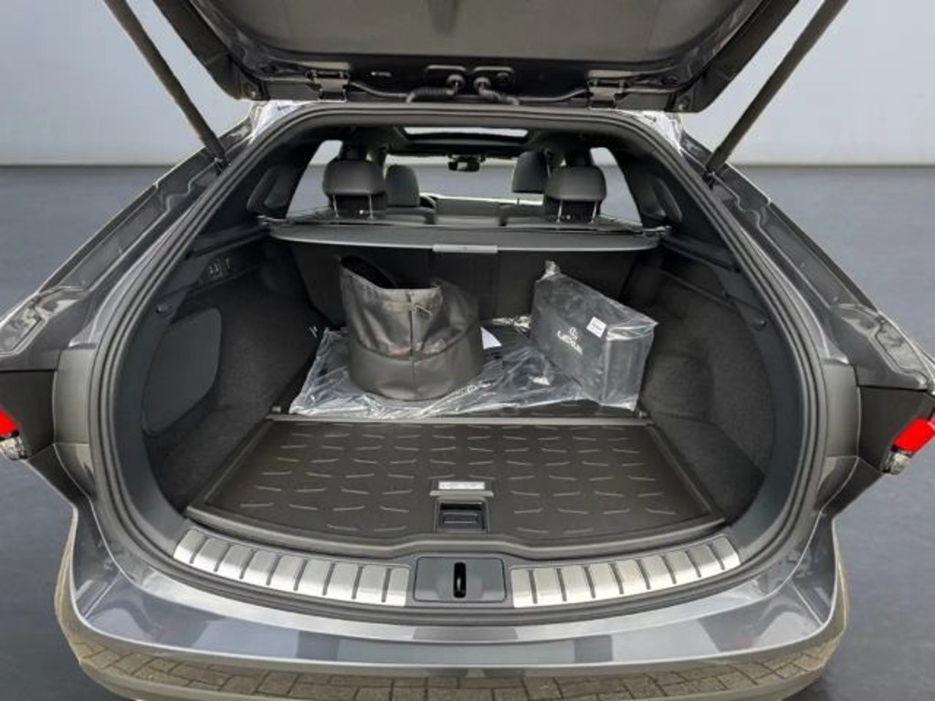 Lexus RX-Serie