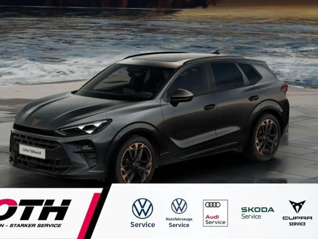 Cupra Terramar 2,0 TSI DSG Navi*Pano*Matix*AHK*HuD*360