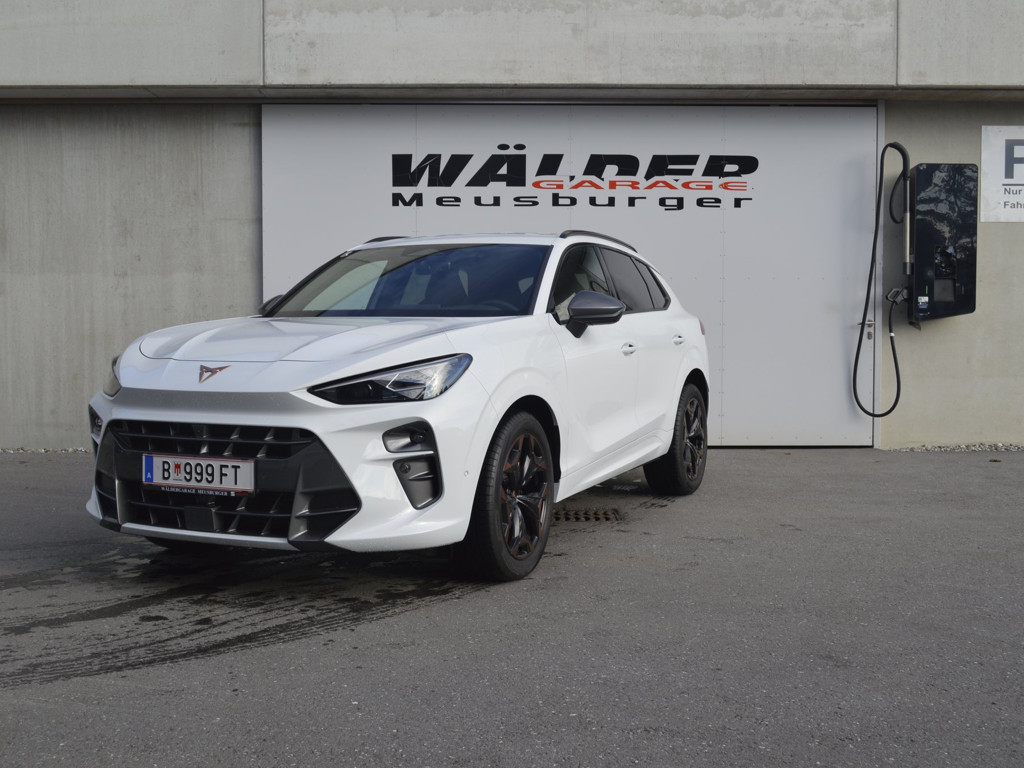 Cupra Terramar 2.0 TSI