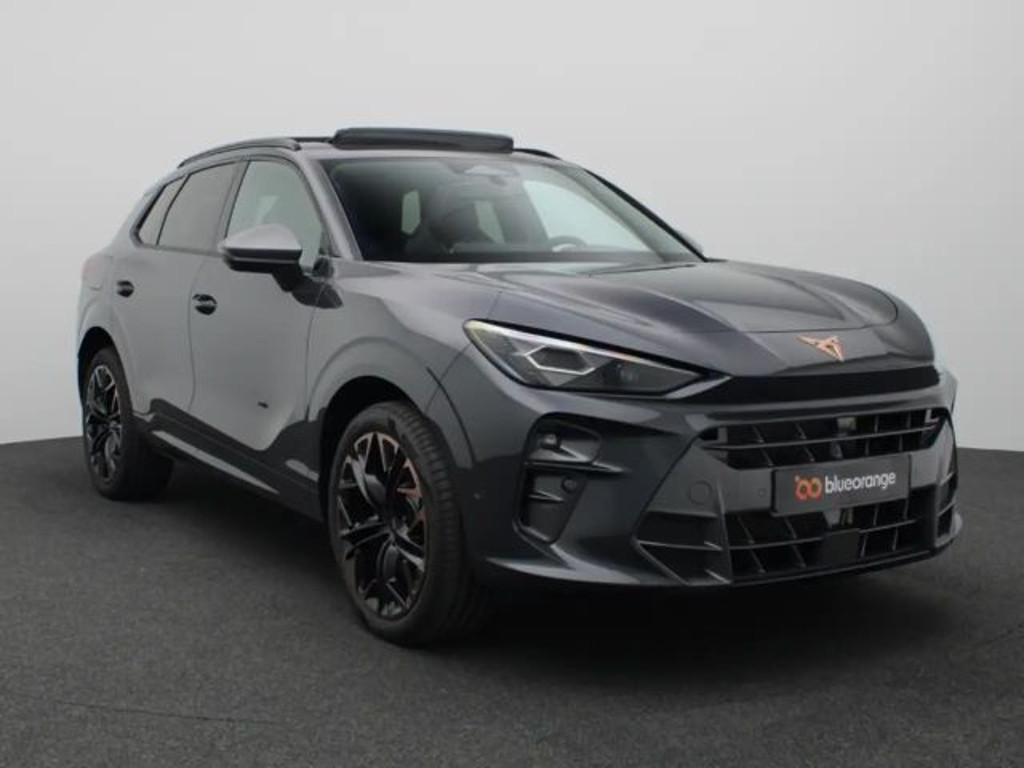 Cupra Terramar