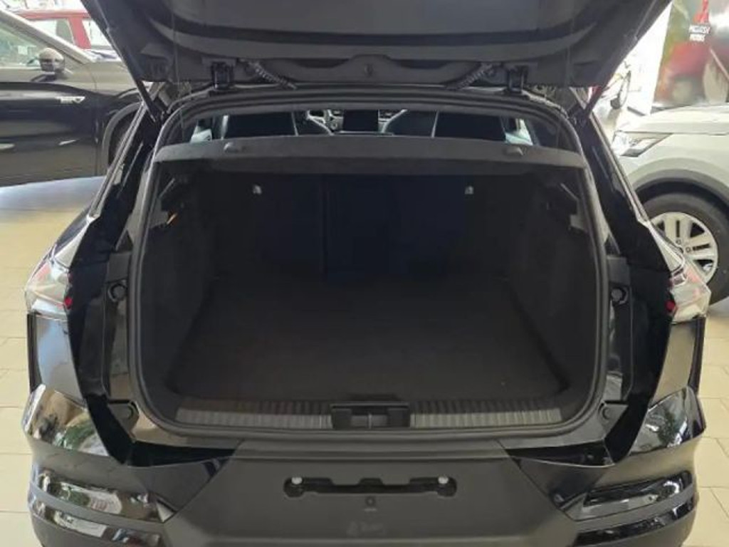Mitsubishi Grandis