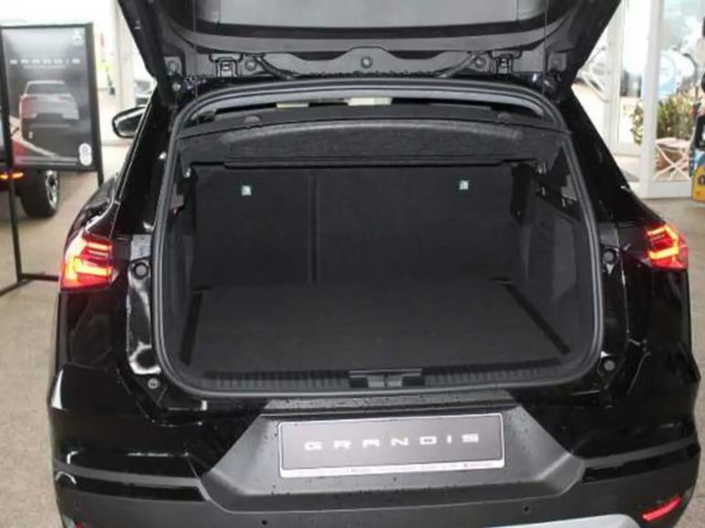 Mitsubishi Grandis