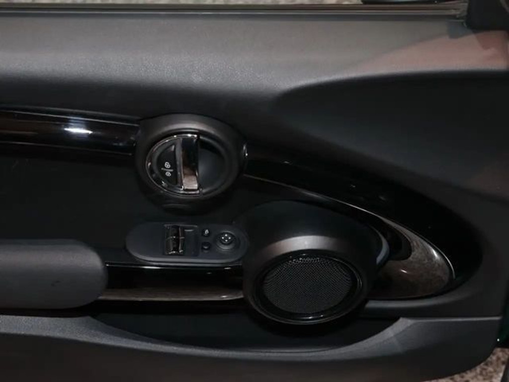 Mini Mini Electric