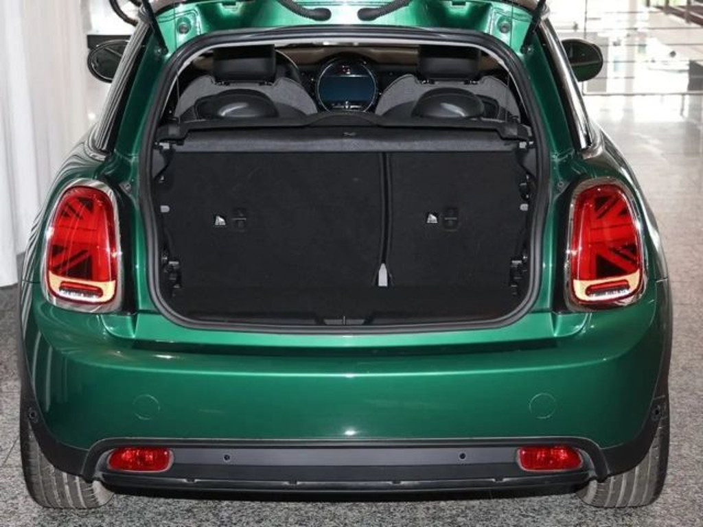Mini Mini Electric
