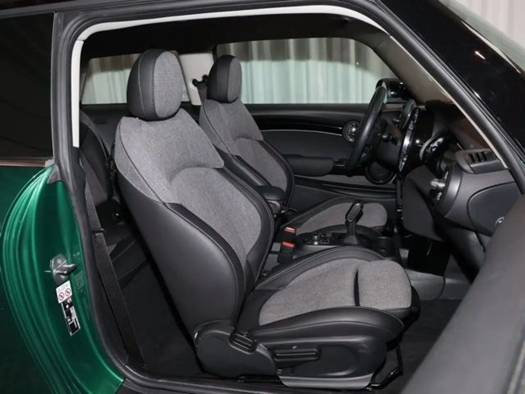 Mini Mini Electric