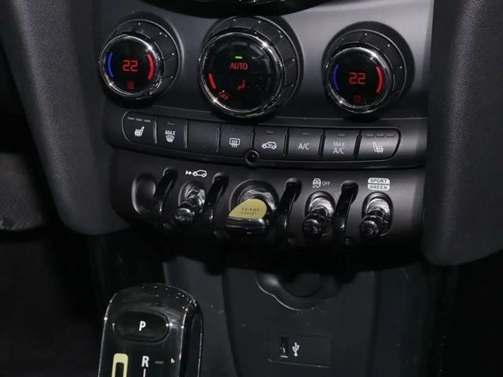Mini Mini Electric