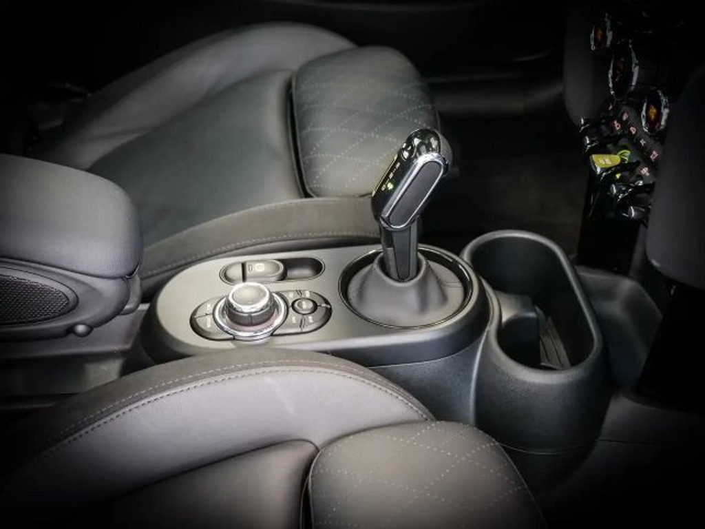 Mini Mini Electric