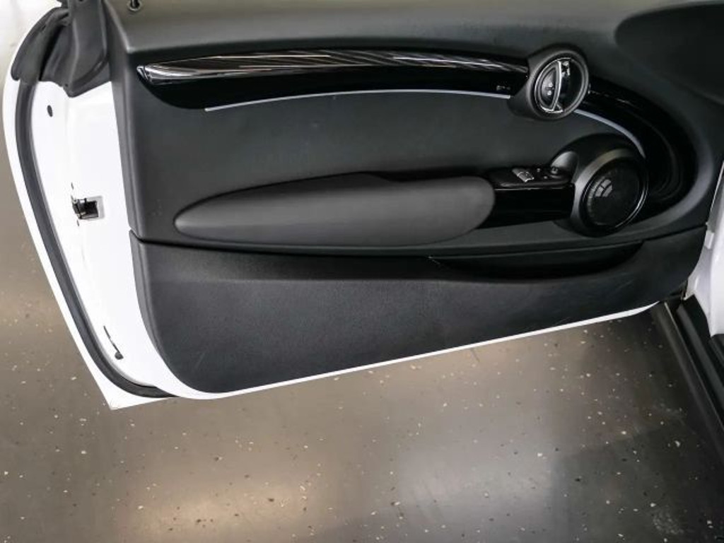 Mini Mini Electric