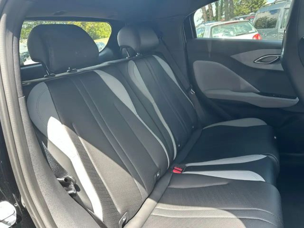 BYD Dolphin Surf