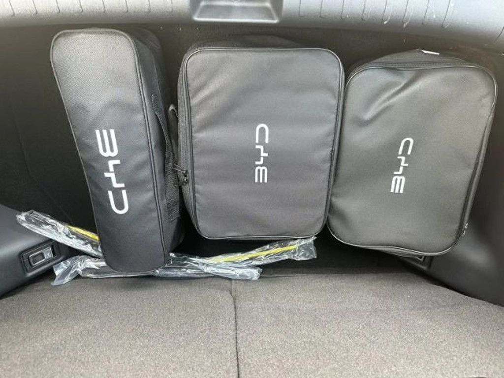 BYD Dolphin Surf