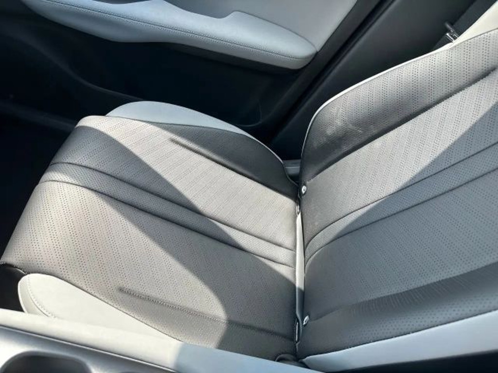 BYD Dolphin Surf