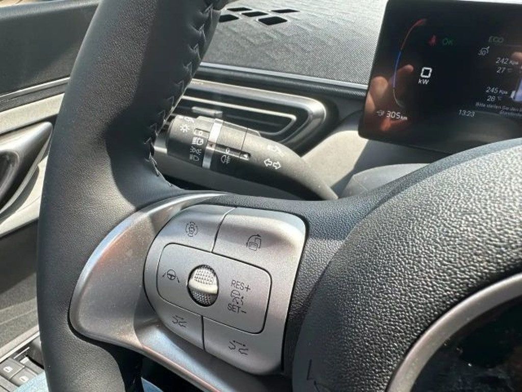 BYD Dolphin Surf