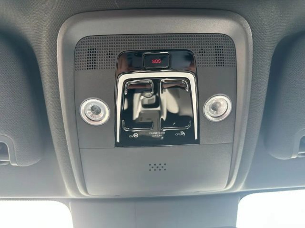 BYD Dolphin Surf