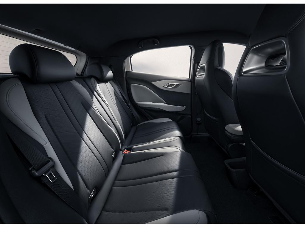 BYD Dolphin Surf