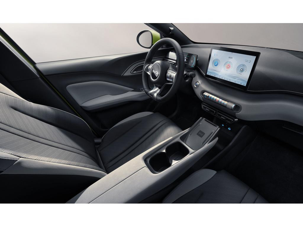 BYD Dolphin Surf