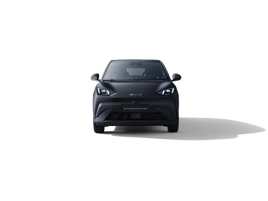 BYD Dolphin Surf