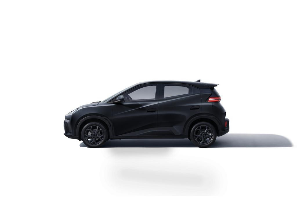 BYD Dolphin Surf