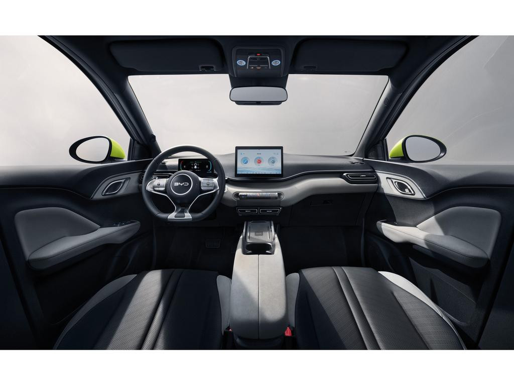 BYD Dolphin Surf