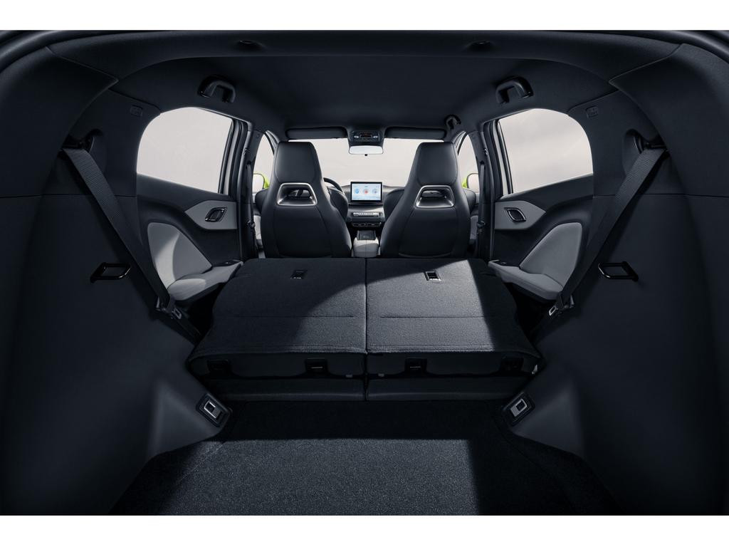 BYD Dolphin Surf