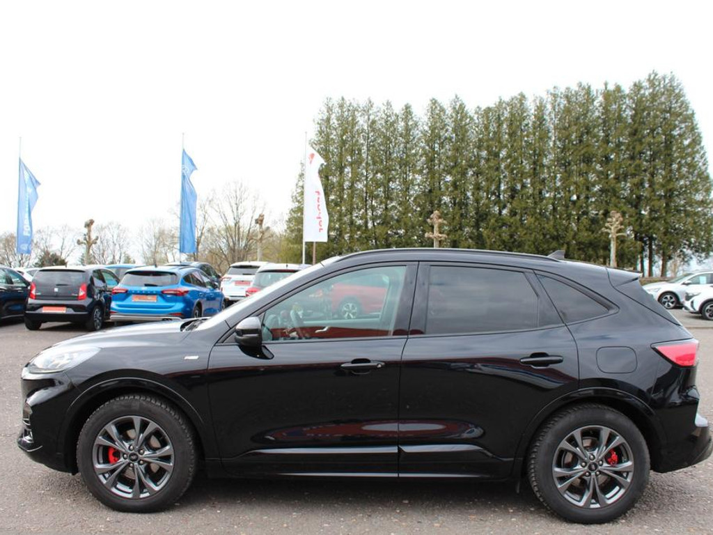 Ford Kuga ST Line X