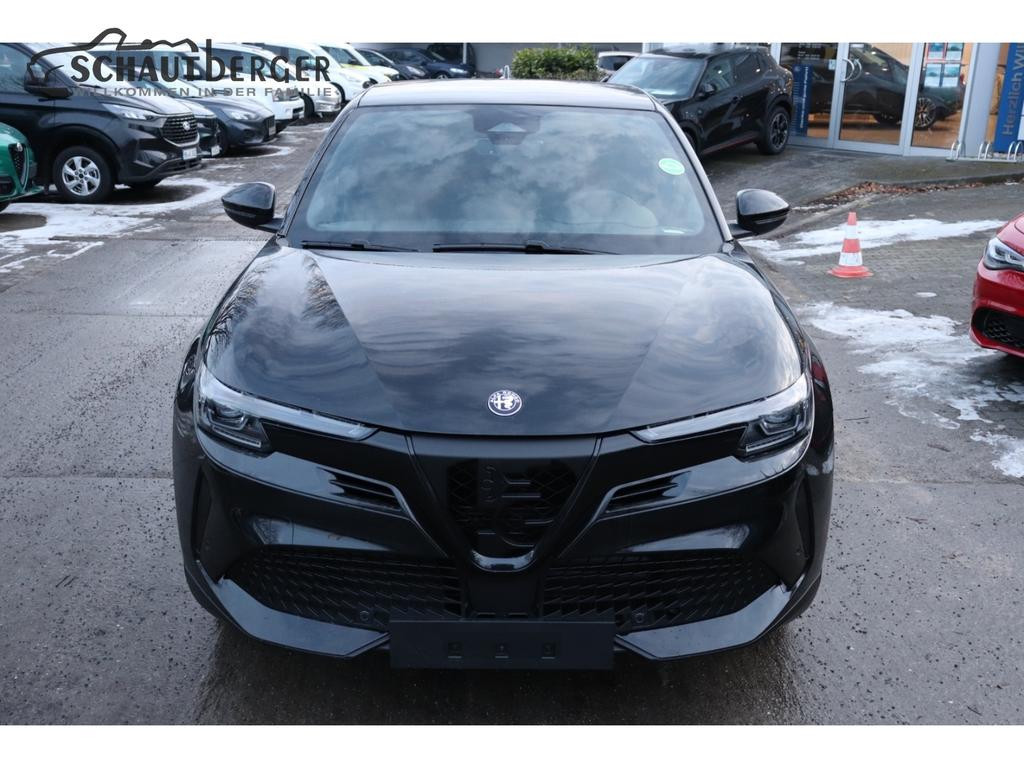 Alfa Romeo Junior