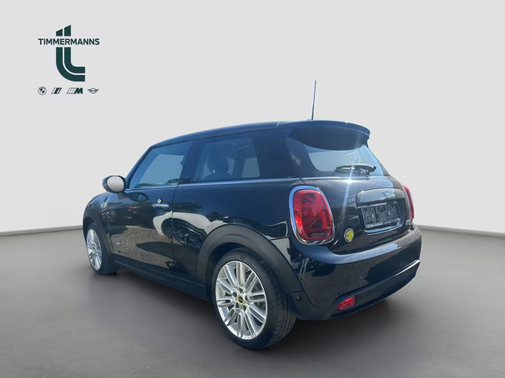 Mini Mini Electric