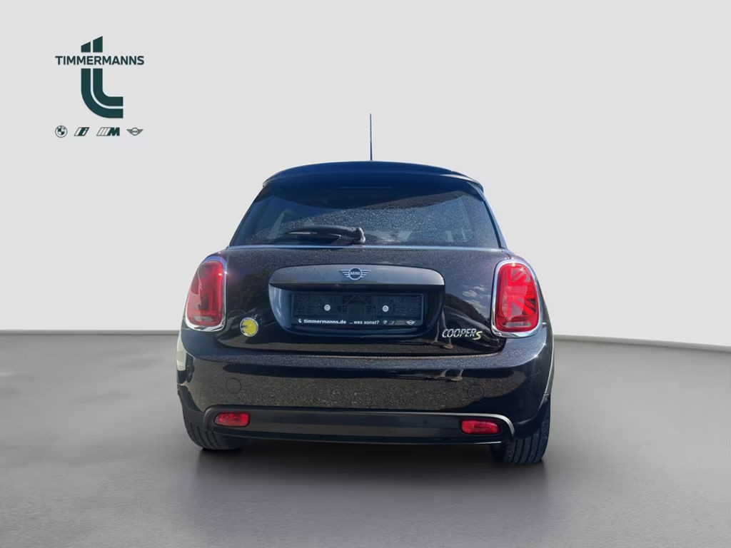Mini Mini Electric