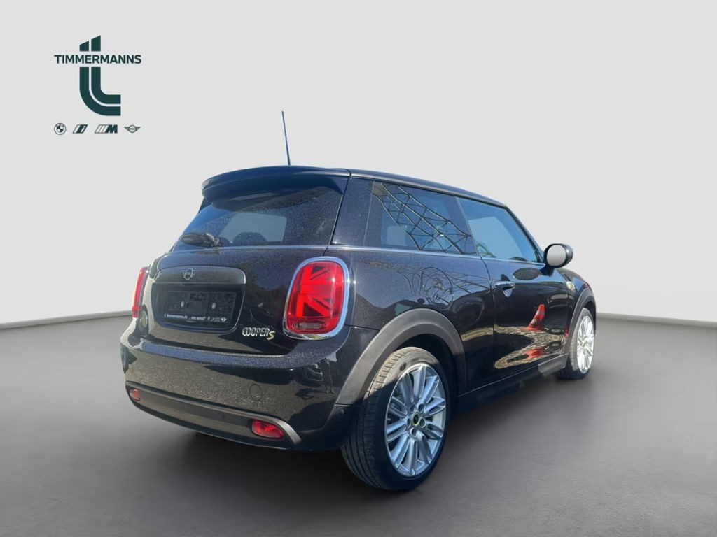 Mini Mini Electric