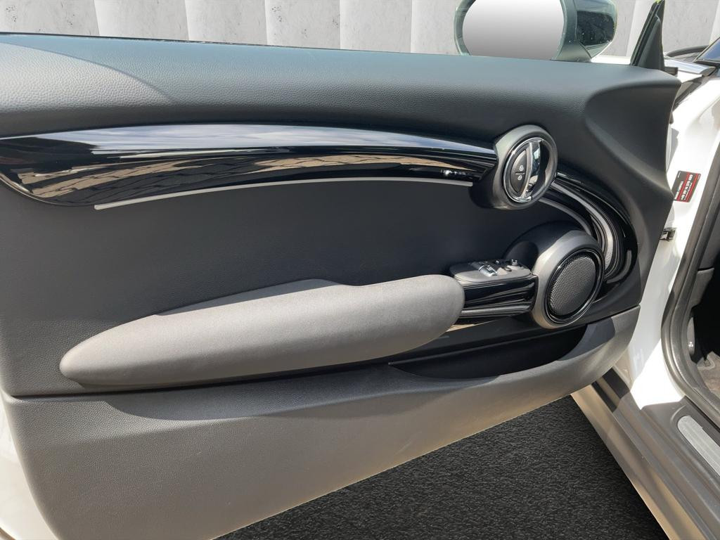 Mini Mini Electric