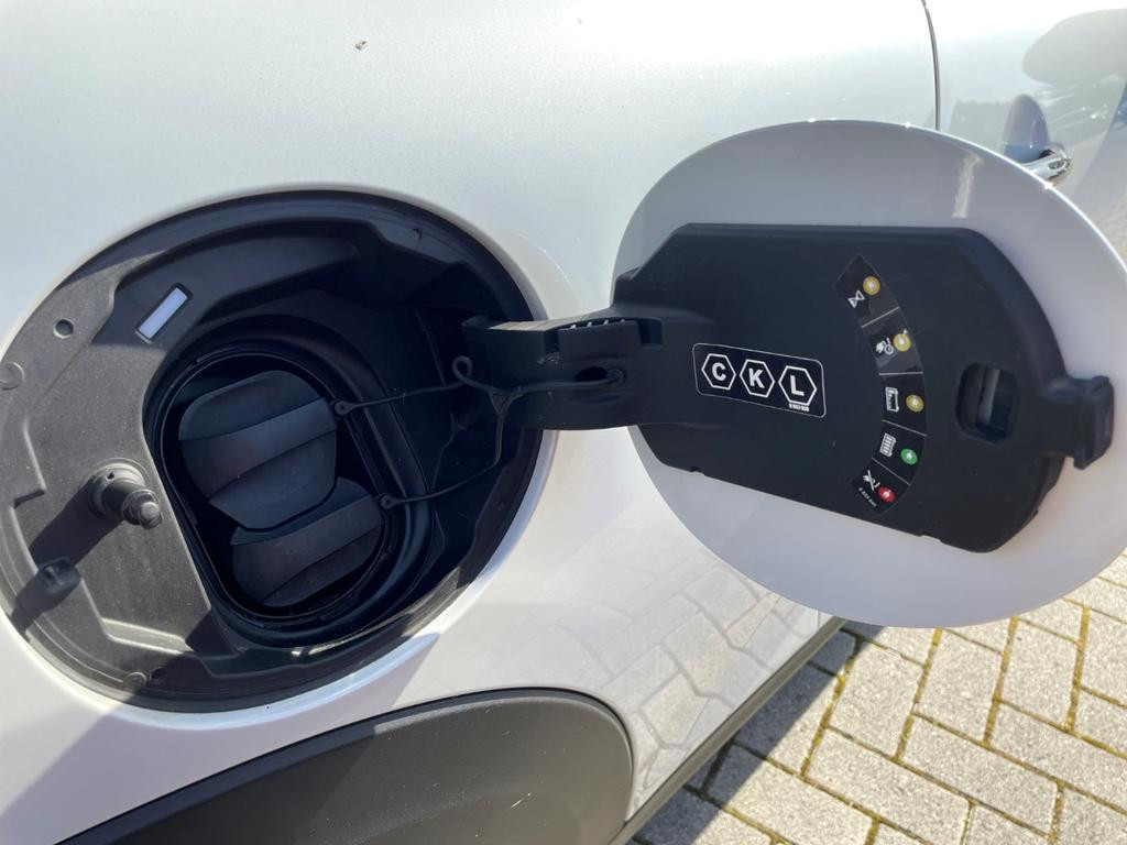 Mini Mini Electric