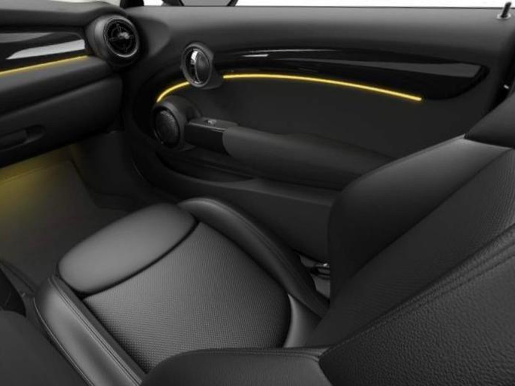 Mini Mini Electric