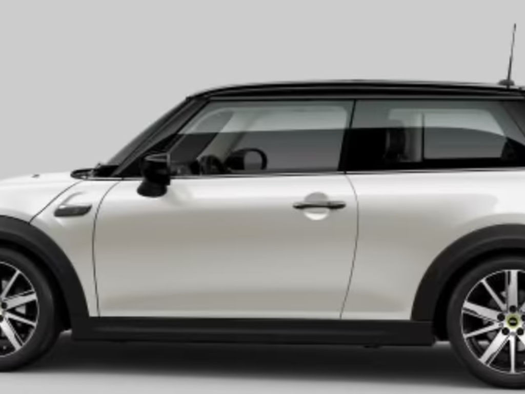 Mini Mini Electric