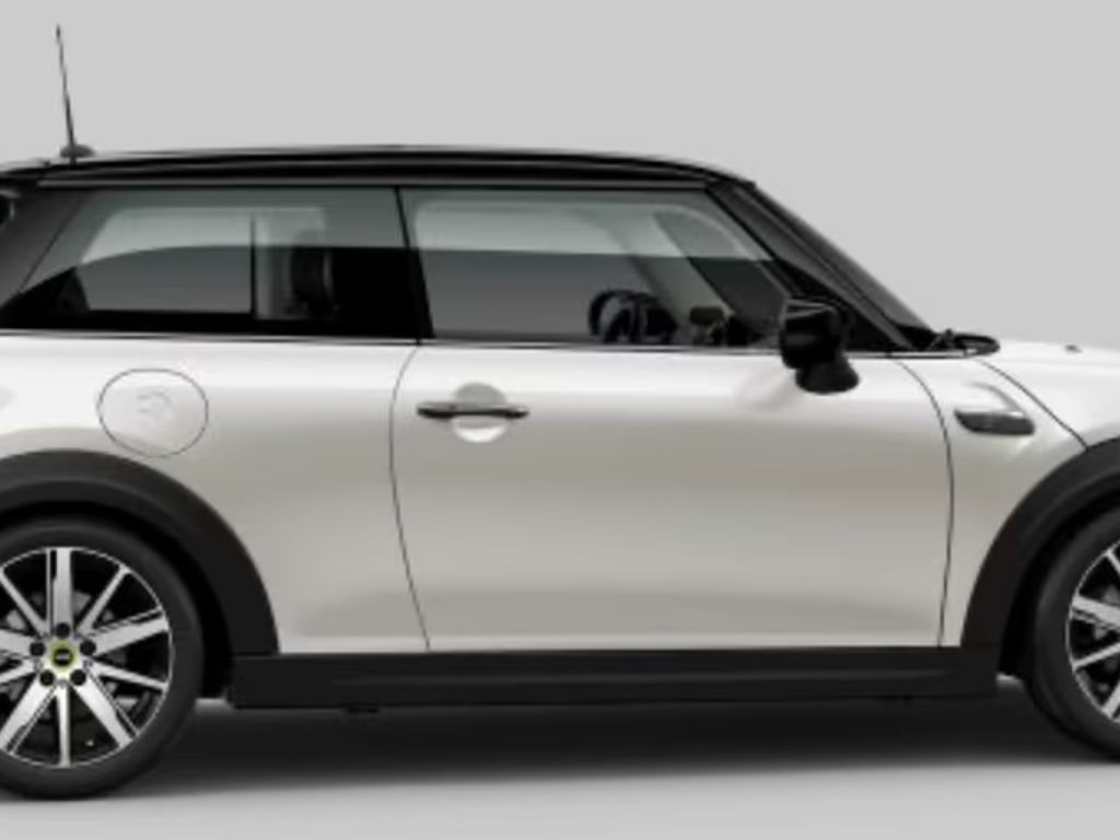 Mini Mini Electric