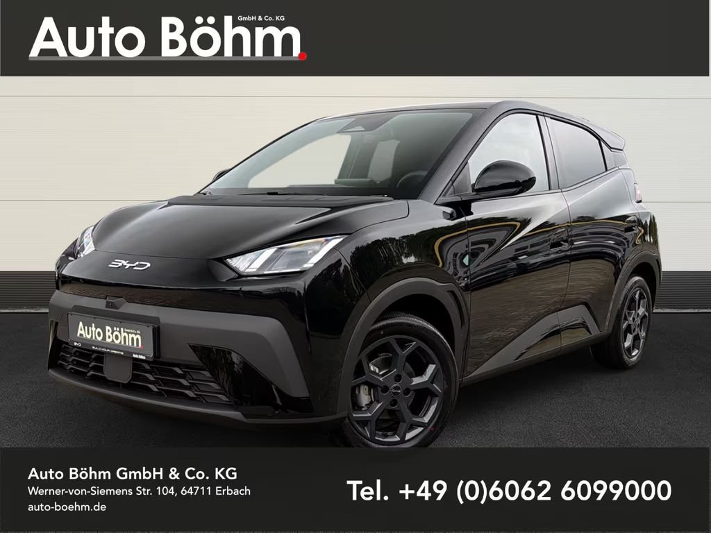BYD Dolphin Comfort