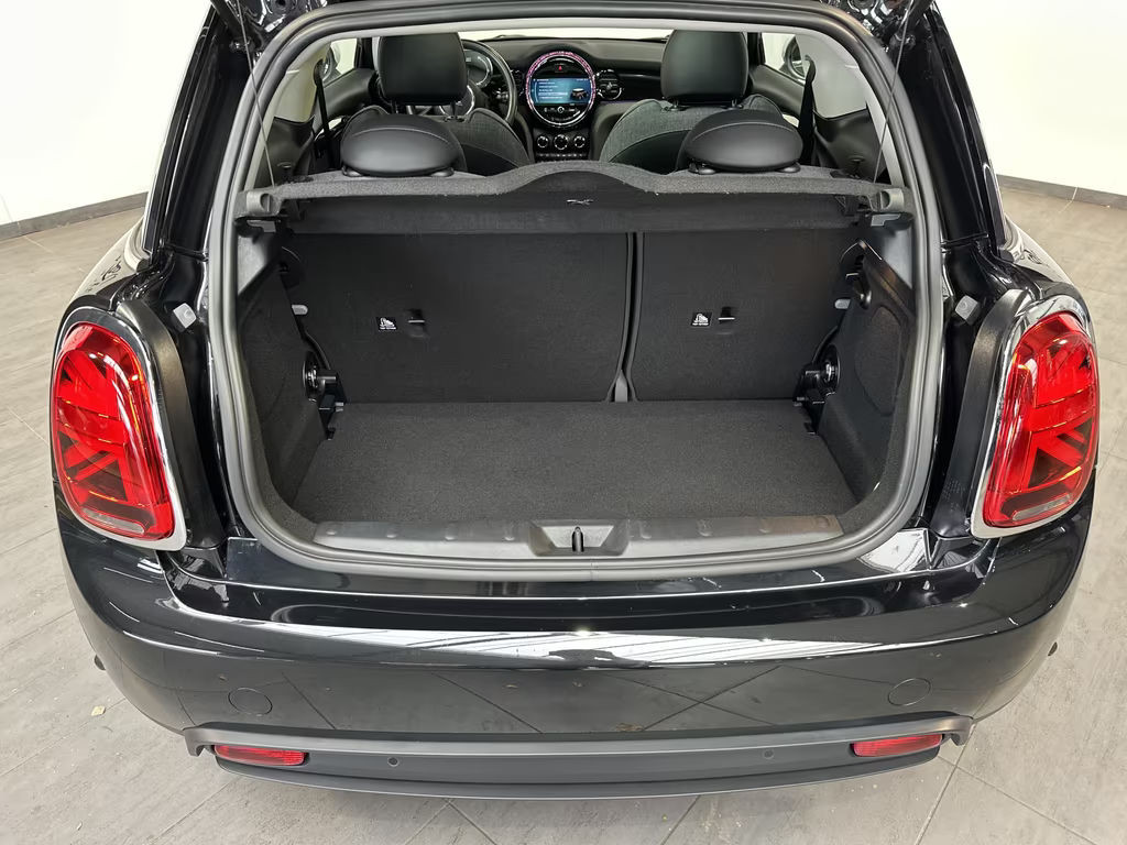 Mini Mini Electric