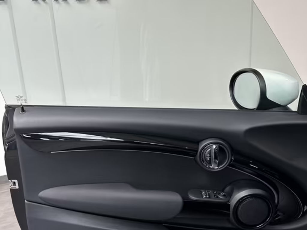 Mini Mini Electric