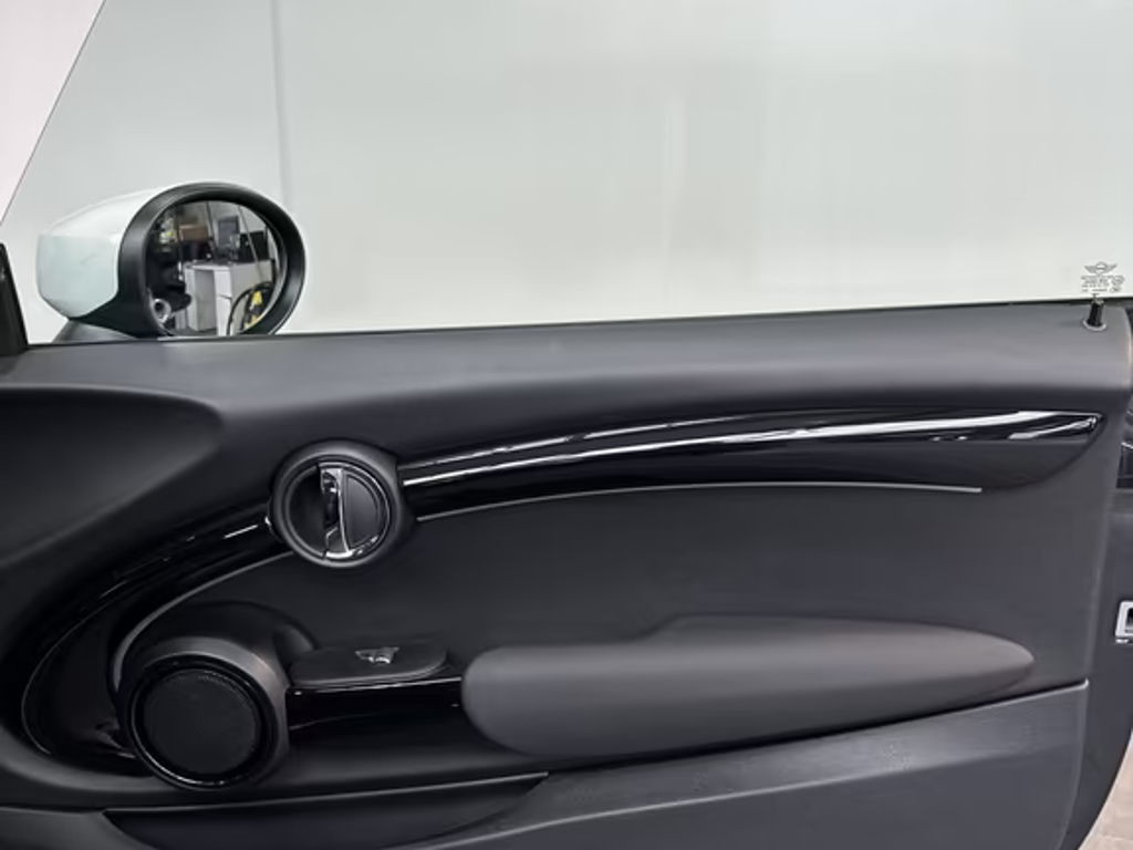 Mini Mini Electric