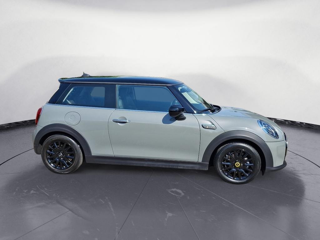 Mini Mini Electric