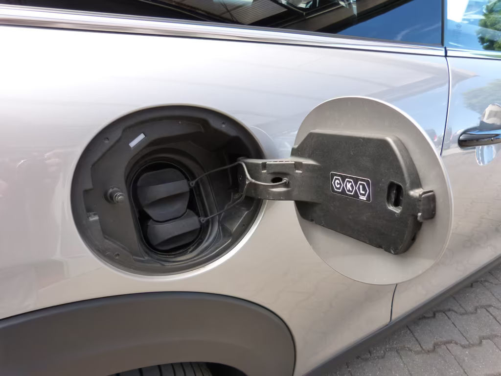 Mini Mini Electric
