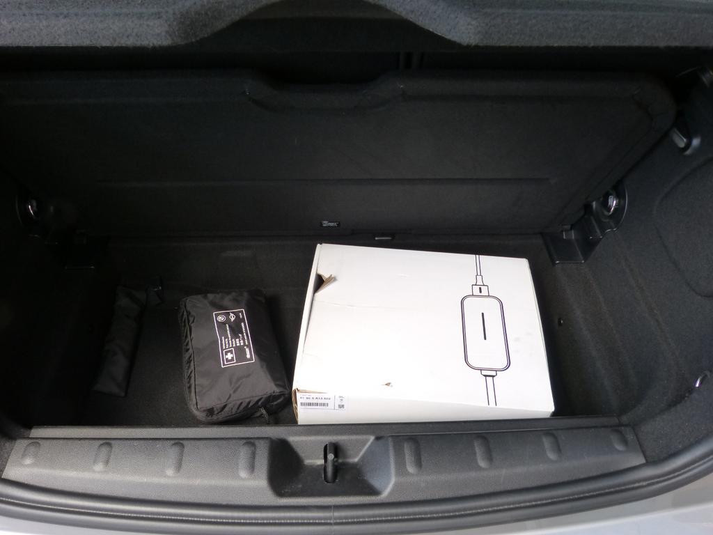 Mini Mini Electric