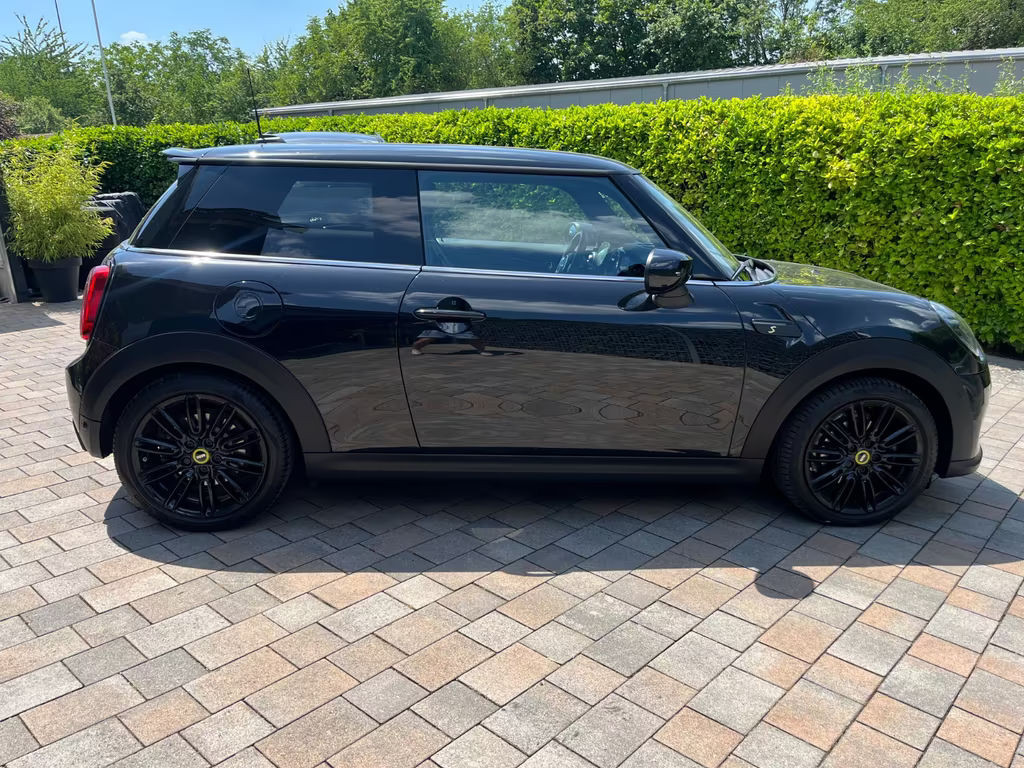 Mini Mini Electric