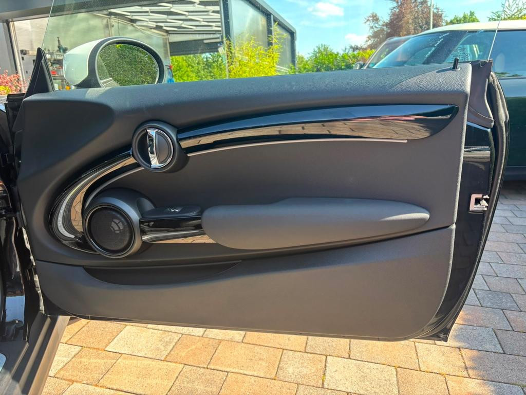 Mini Mini Electric