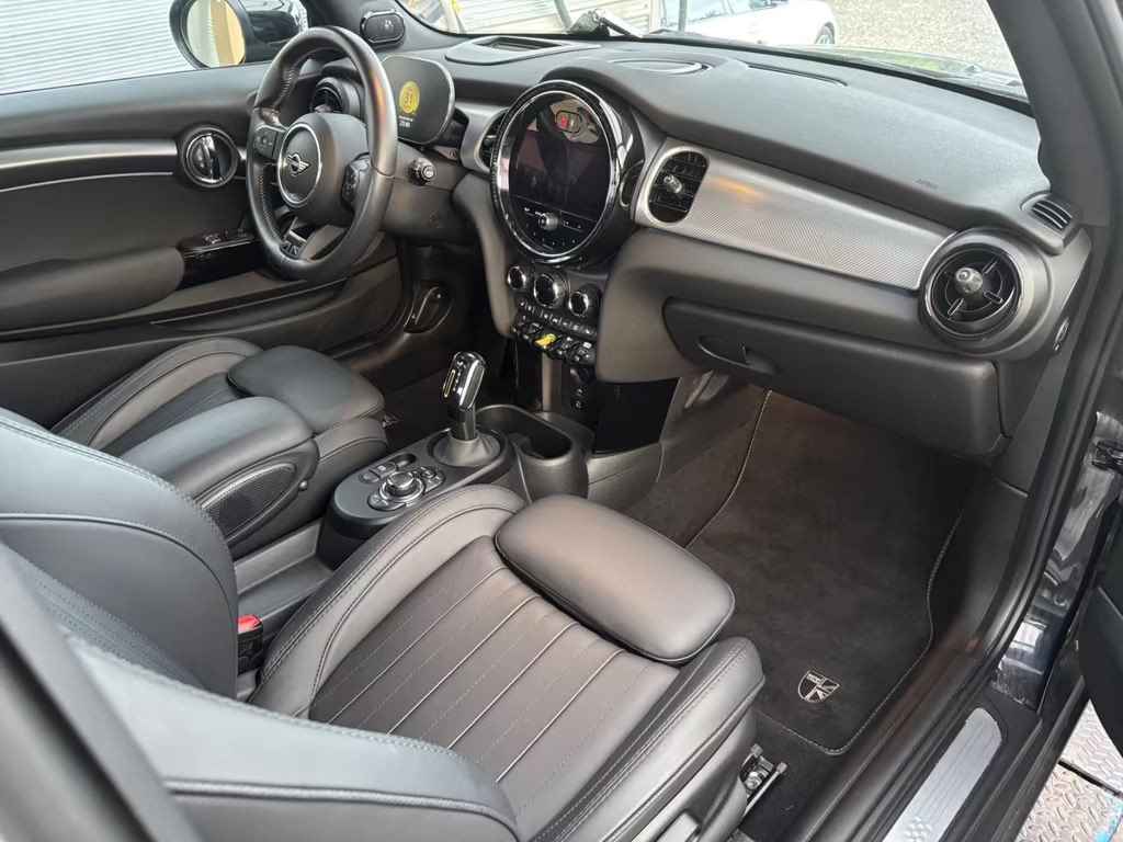 Mini Mini Electric