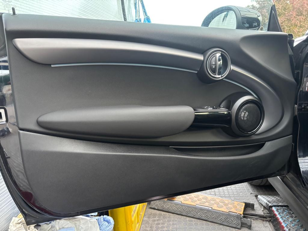 Mini Mini Electric