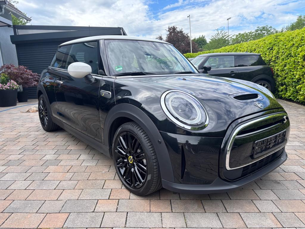 Mini Mini Electric