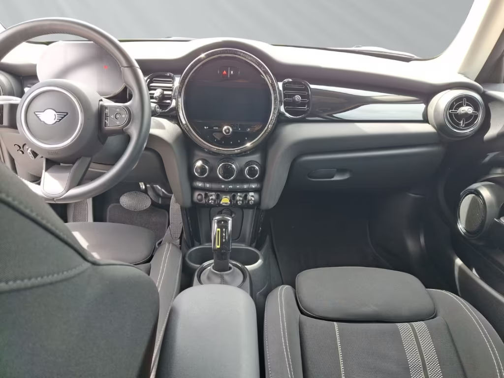 Mini Mini Electric