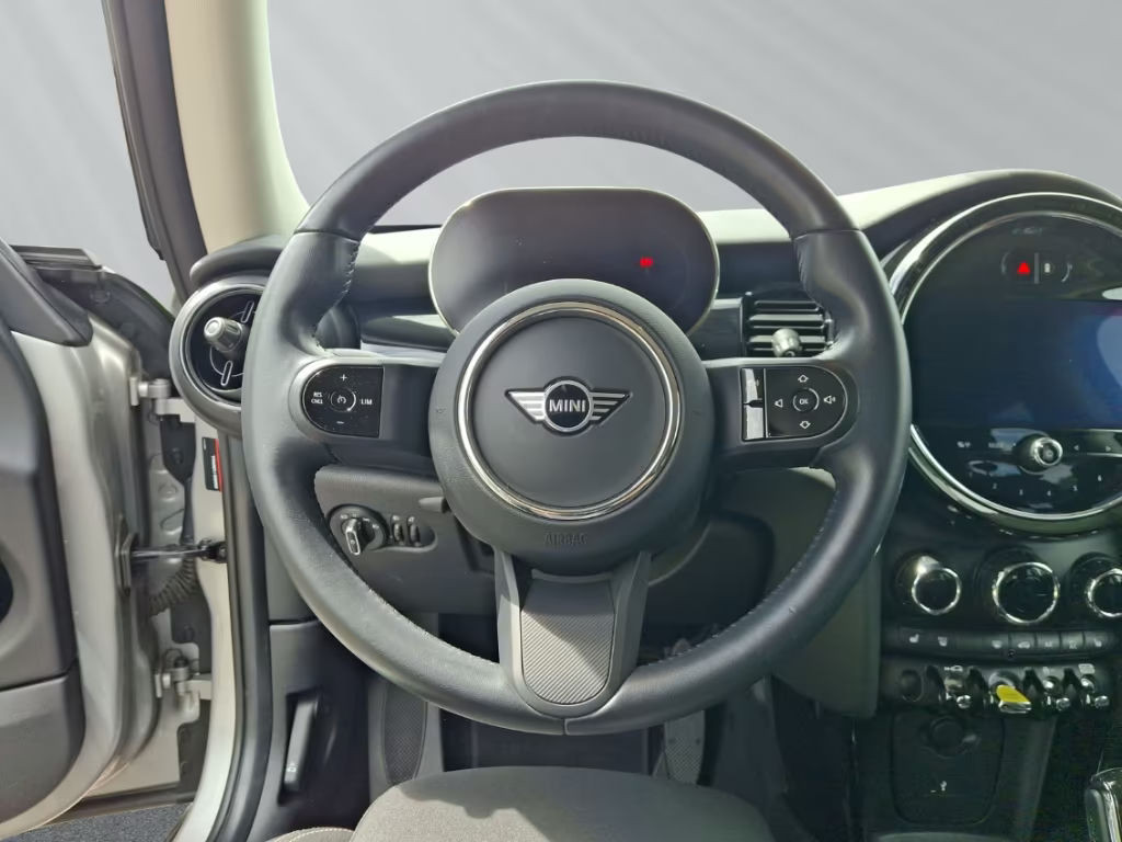 Mini Mini Electric