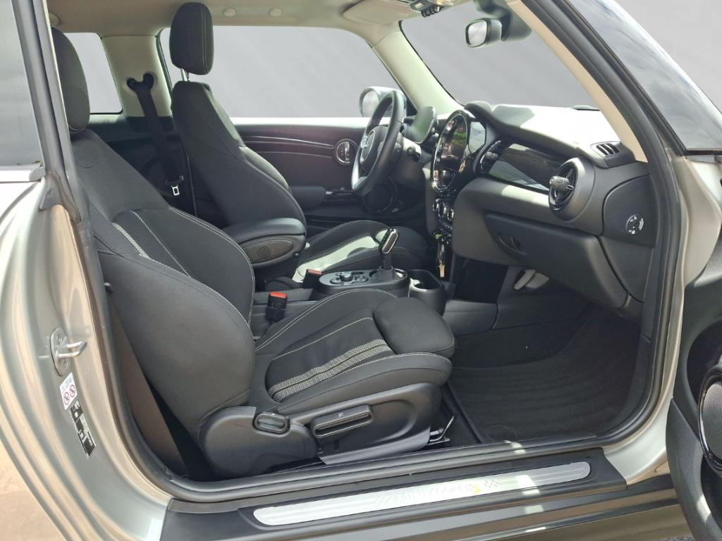 Mini Mini Electric
